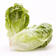 Lettuce