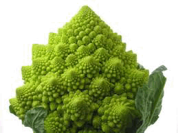 Romanesco
