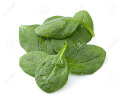 Spinach