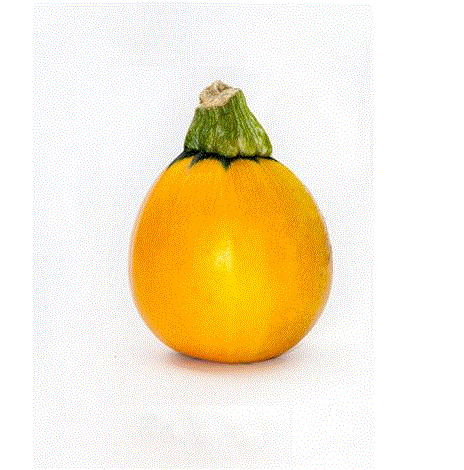 Courgettes 