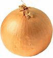 Onion