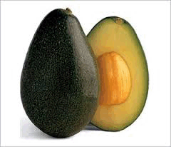 Avocadoes