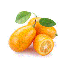 KUMQUAT