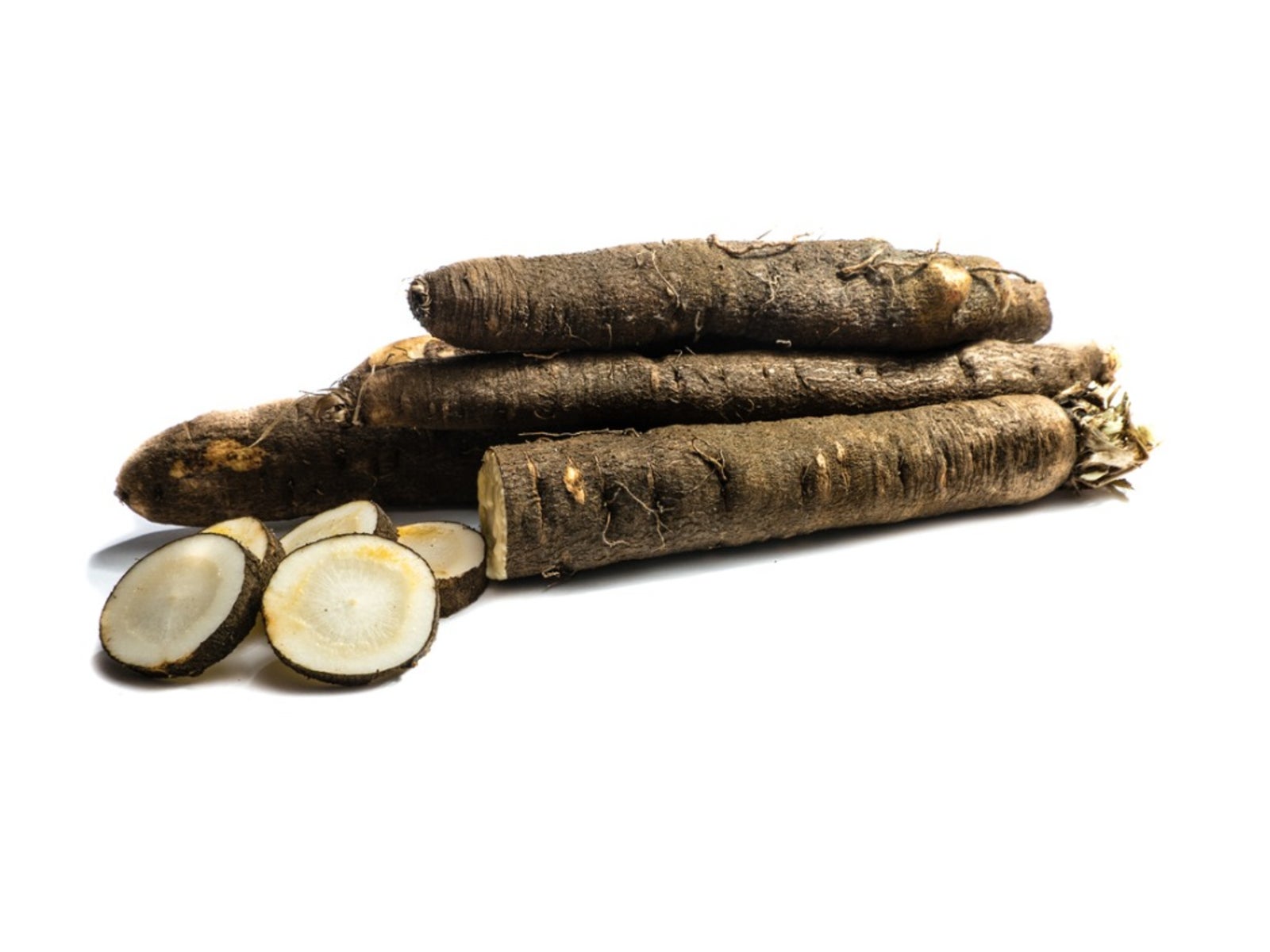 Black Salsify