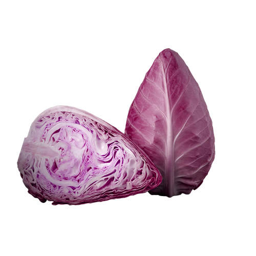 Red Cabbage